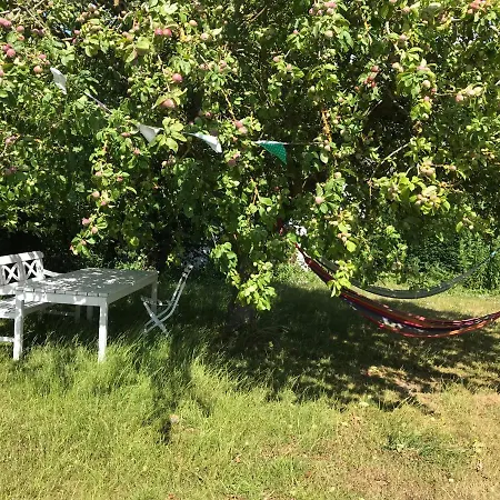 Solfryd I فيلة *